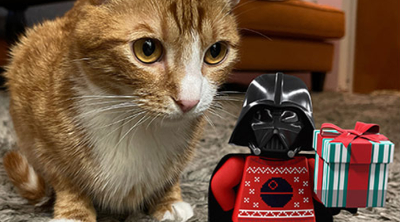LEGO Star Wars Holiday Special stickers added to the Star Wars app