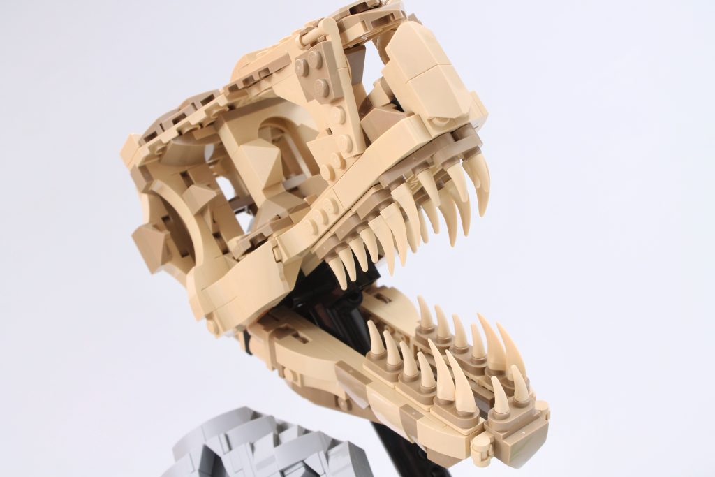 LEGO Jurassic World 76964 Dinosaur Fossils T. rex Skull review 12 1024x683