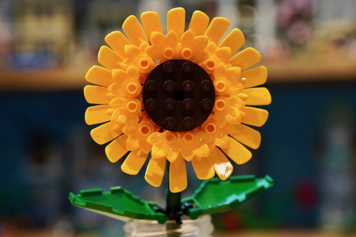 LEGO Botanicals 11502 Sunflower Bouquet 40524 Sunflowers review 3 1200x800